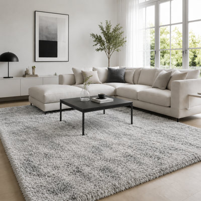 Soft Shaggy Area Rug, Multiple Sizes Grey Fluffy Carpet for Living Room Bedroom, Plush Fuzzy Rugs for Home Decor, Halloween Christmas Seasonal & Daily Use, Non-Slip Cozy Floor Mat