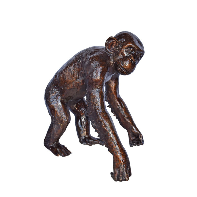 Chimpanzee Standing And Looking Around Bronze Statue - Size: 24" X 20" X 28"H