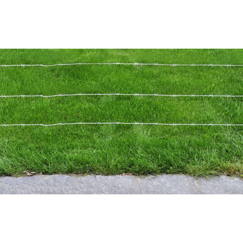 Fil de fer barbelé vidaXL 1640 pi, 0.5 pi H x 1640 pi B x 0.06" D