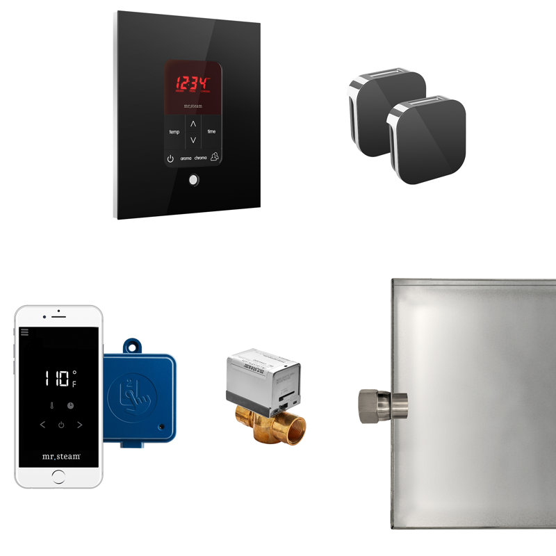 Ensemble de générateur de vapeur Butler Max, Noir