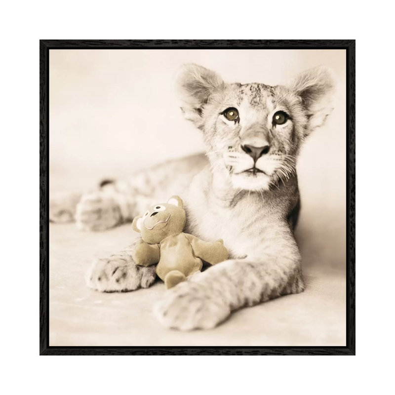 Arjuna And Teddy by Rachael Hale - Print on Canvas, Black Framed, 45.72 cm H x 45.72 cm W