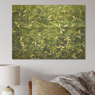 Herbs Oregano Hues II - Floral Herbs On Wood Print