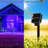 Frane 200 - Bulb 1'' Solar Powered LED Rope String Light