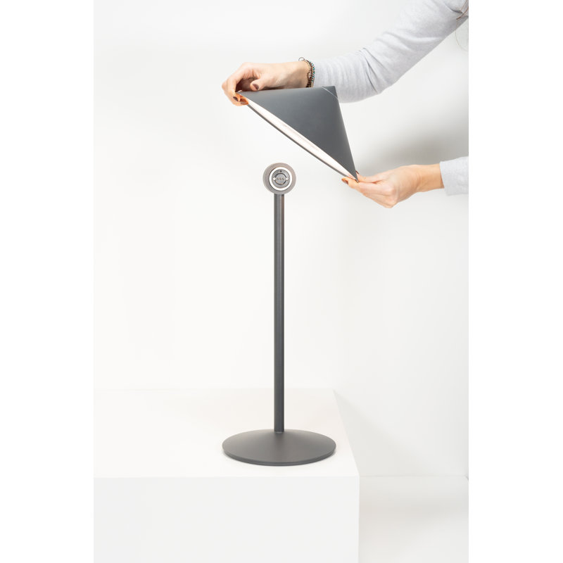 Pina L Desk Lamp, Titanium