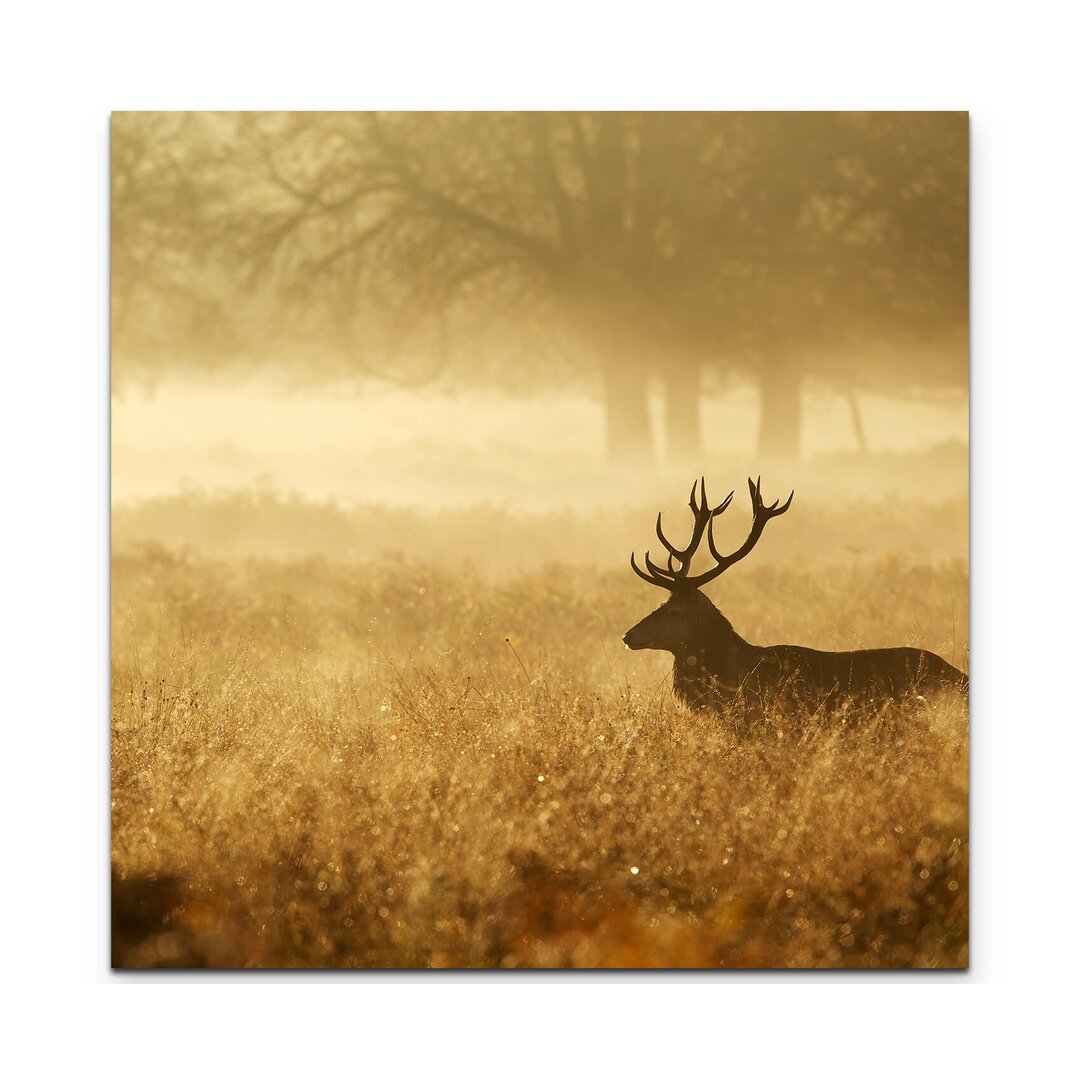 Leinwandbild Silhouette eines Hirsch im Wald