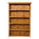 Traditional Cedar Log Bookcase