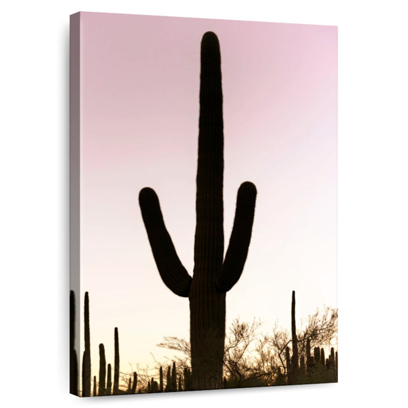 Harnek cactus rose coucher de soleil, H 24 po x l 16 po