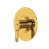 Unlacquered Brass
