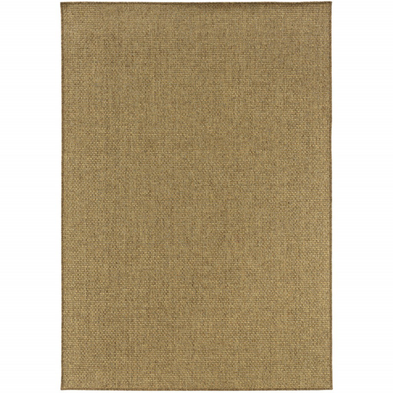 Indoor / Outdoor Rug
