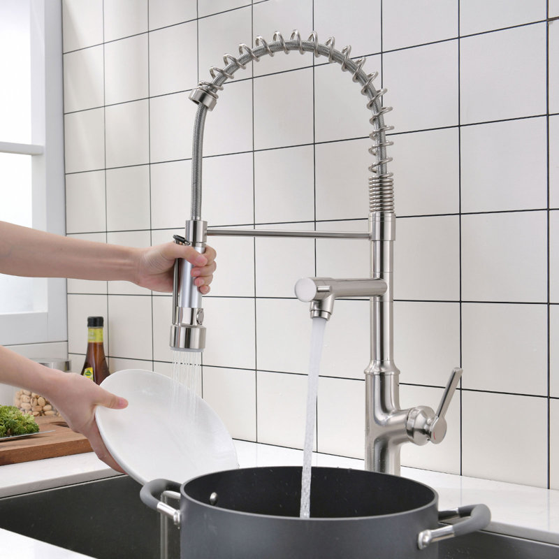 FLG Pull Down Kitchen Faucet