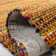 Anaheim Hand Tufted Cotton Abstract Rug