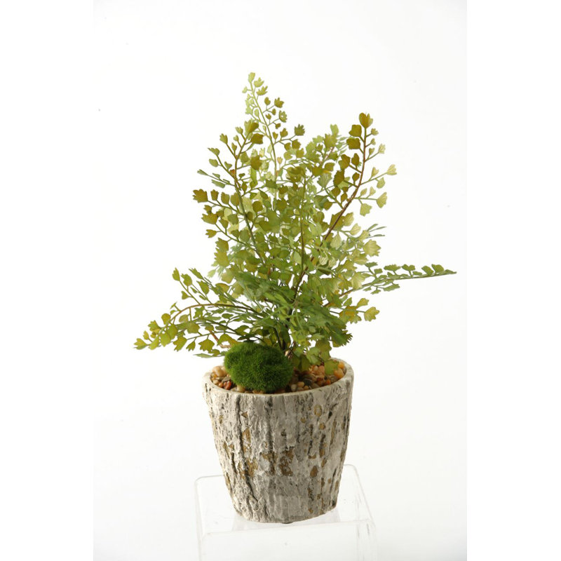Faux Plant in Cement Planter