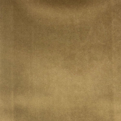 Solid Velvet | Tuscan Fabric