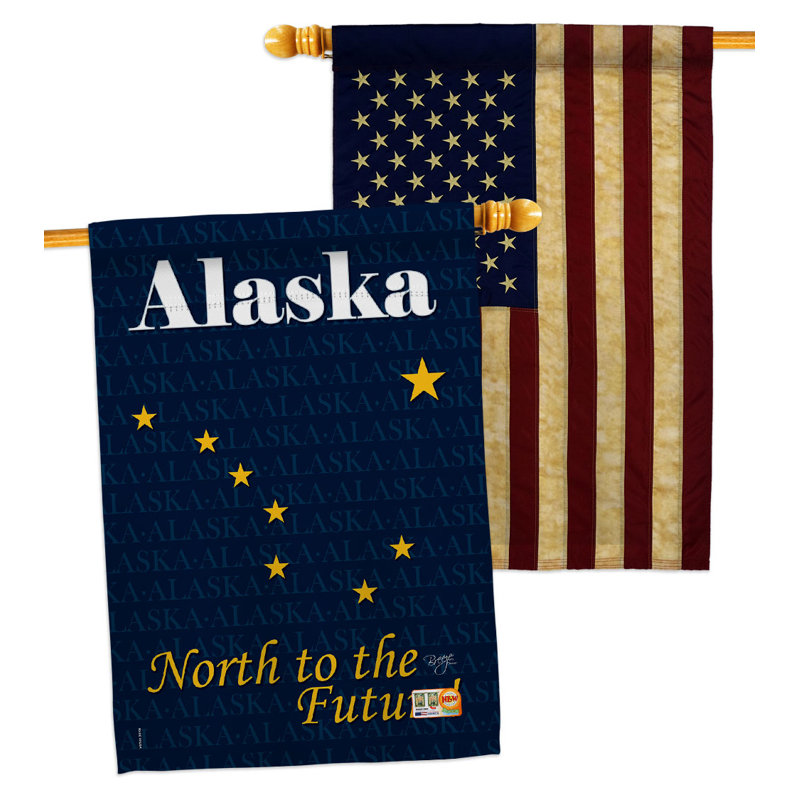 Drapeau de maison en polyester 2 côtés 3 pi 3 po x 2 pi 3 pi Alaska