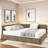 Bed With 2 Drawers-1404262885