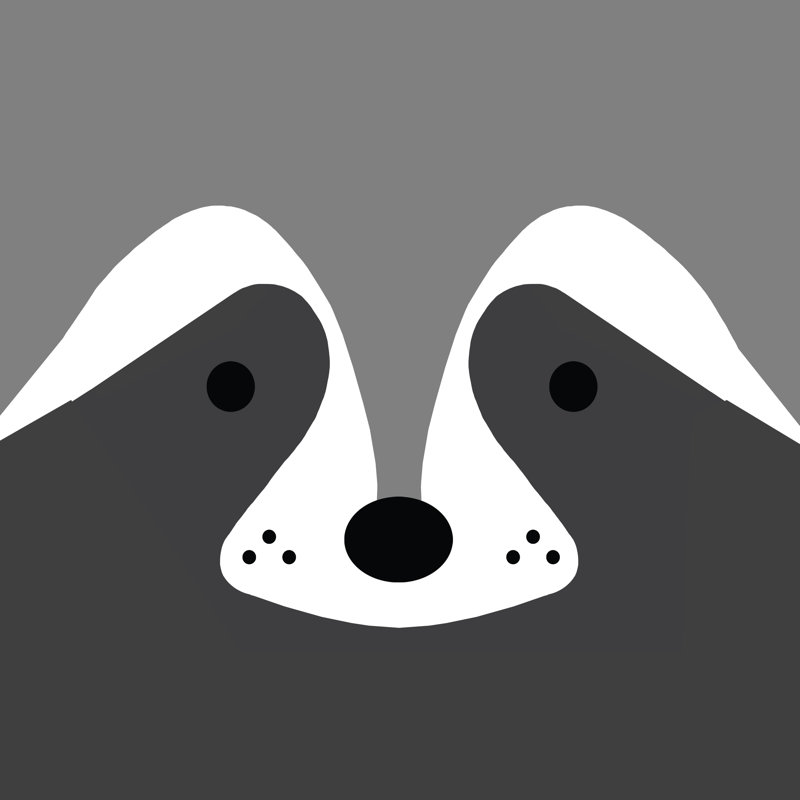 Raccoon Face - Wrapped Canvas Painting, 122cm H x 122cm W x 3.8cm D