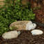 Famille de tortues Boulder 3 pièces 4 "6" 10 "Stone Age Creations-1239897131