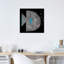 Poisson tacheté par Terry Runyan - impression-52992182-52992183-52992184