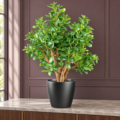 Anneloes 70 cm H Faux Yucca Tree Plant in Plastic Pot Liner