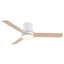 Ventilateurs de plafond 48 po