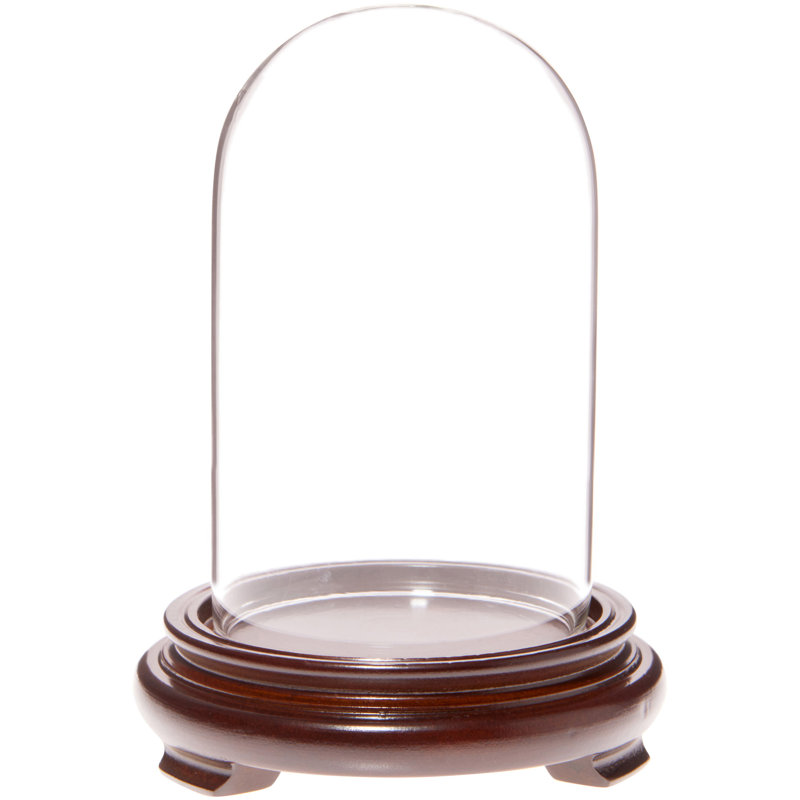 Cloche en verre Kelig 3 "x 5", Base en placage de bois de noyer