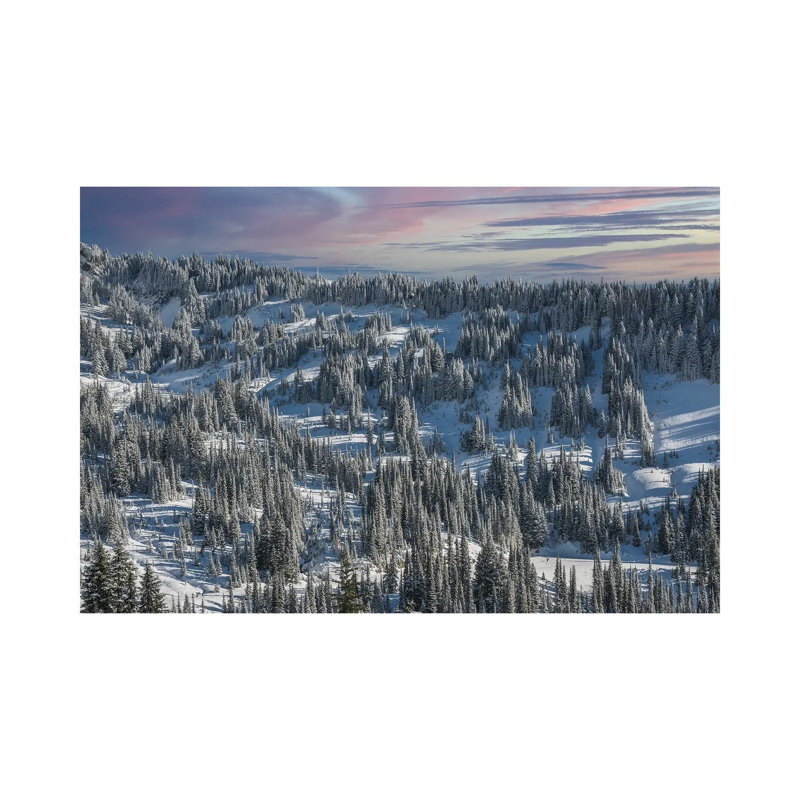 Winter In Paradise Valley Mt Rainier 1 Piece Wrapped Canvas Painting, 66.04 cm H x 45.72 cm W x 1.91 cm D
