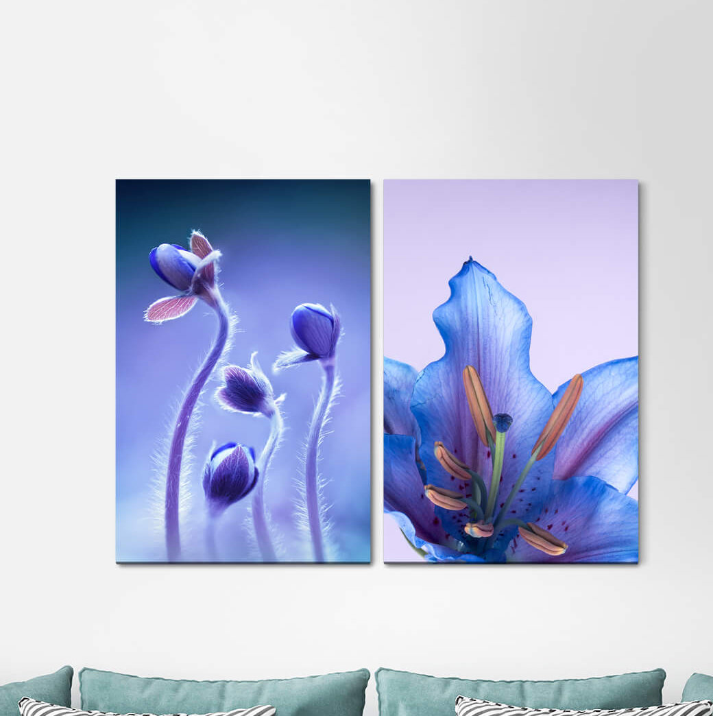 2-tlg. Leinwandbilder-Set - Fotografie „Orchid Blue Buds Fine Delicate Flowers”