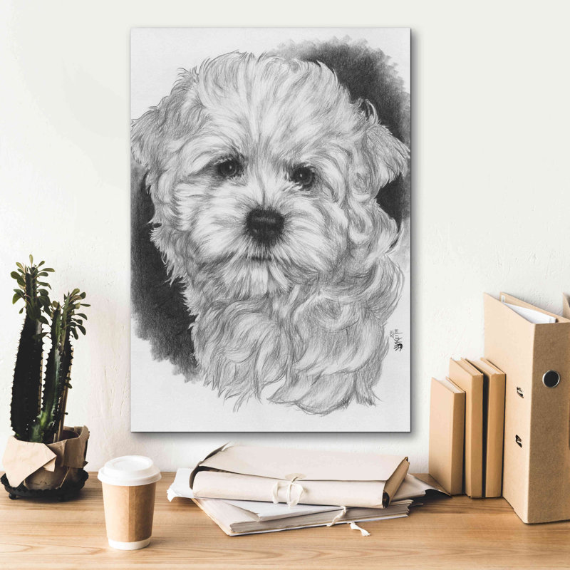 Epic Graffiti 'Maltichon' By Barbara Keith, Canvas " Maltichon " by Barbara Keith Painting Print