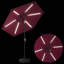 Parasol-1735911138