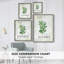 Fresh Oregano Framed Print - Solid Wood-1604130980