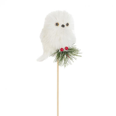 Chouette moelleuse sur un rameau de houx