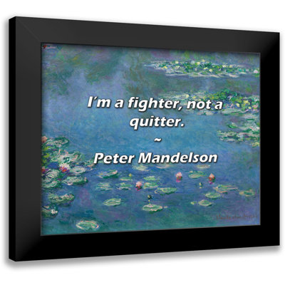 Peter Mandelson Quote: I’m a fighter, not a quitter.