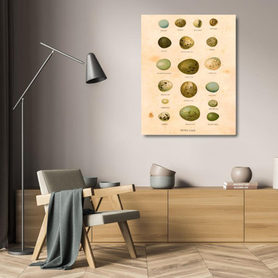 Oeufs d'oiseaux I