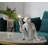 Brylee Resin Novelty Lamp-2048870554