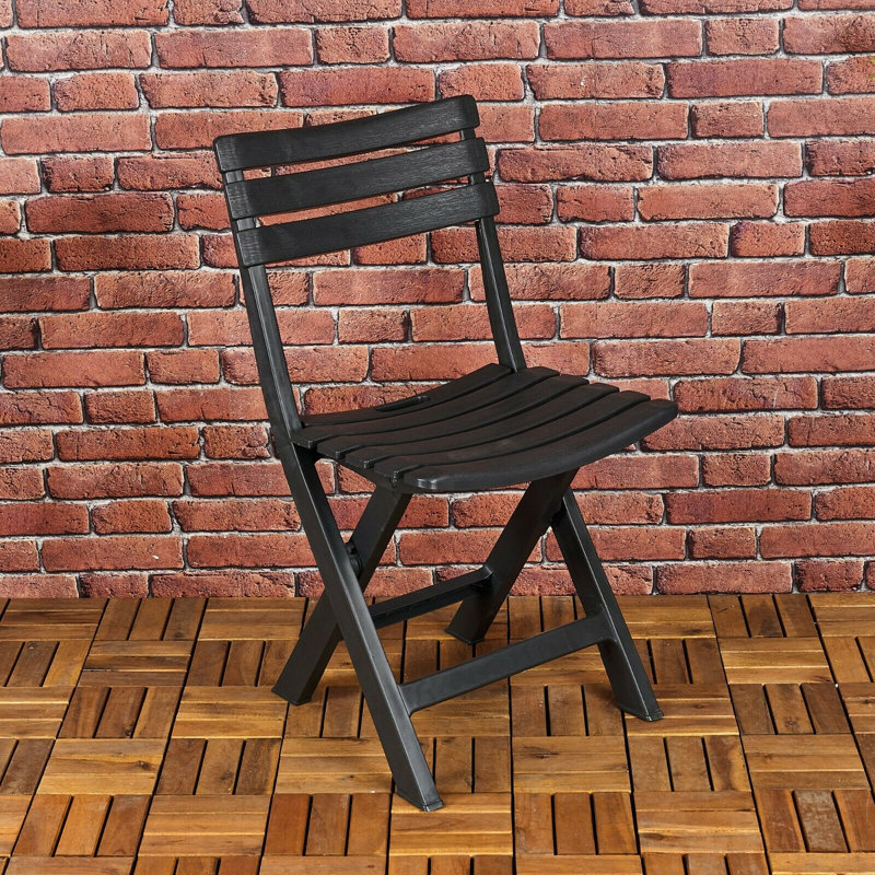 Ahriya Folding Patio Dining Dining Chair with Cushion