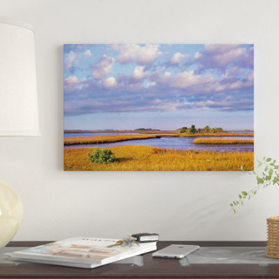 «Saltwater Marshes at Cedar Key, Florida», reproduction de photo sur toile