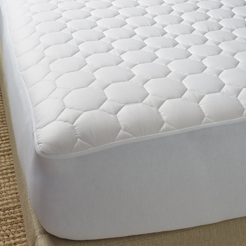 Sonatina 18 in. Cotton Mattress Pad, Twin