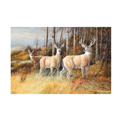 Art sur toile, "Deer" par Trevor V. Swanson