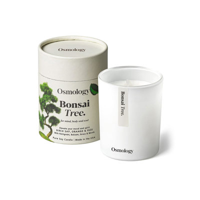 Bougie parfumée Bonsai - Sève de bouleau orange et yuzu