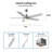 Johnye 52'' Ceiling Fan with LED Lights-1539056358