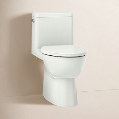 Reach 1.28 GPF Elongated Toilet