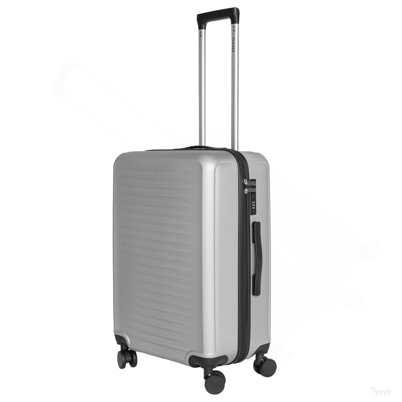2025  Silver Suitcase