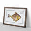 Toothless Mackerel Fish by M.E. Bloch - Picture Frame Painting Print-55611058-55611060