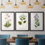 Nature Printed Botanicals V - reproduction sur mesure encadrée de qualité supérieure - 3 pièces-506778561-506778560