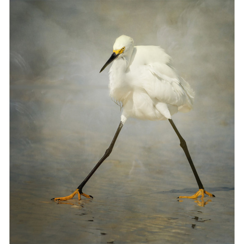 Wrapped Canvas Print, 76.2cm H x 50.8cm W