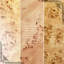 Table Burl Wood