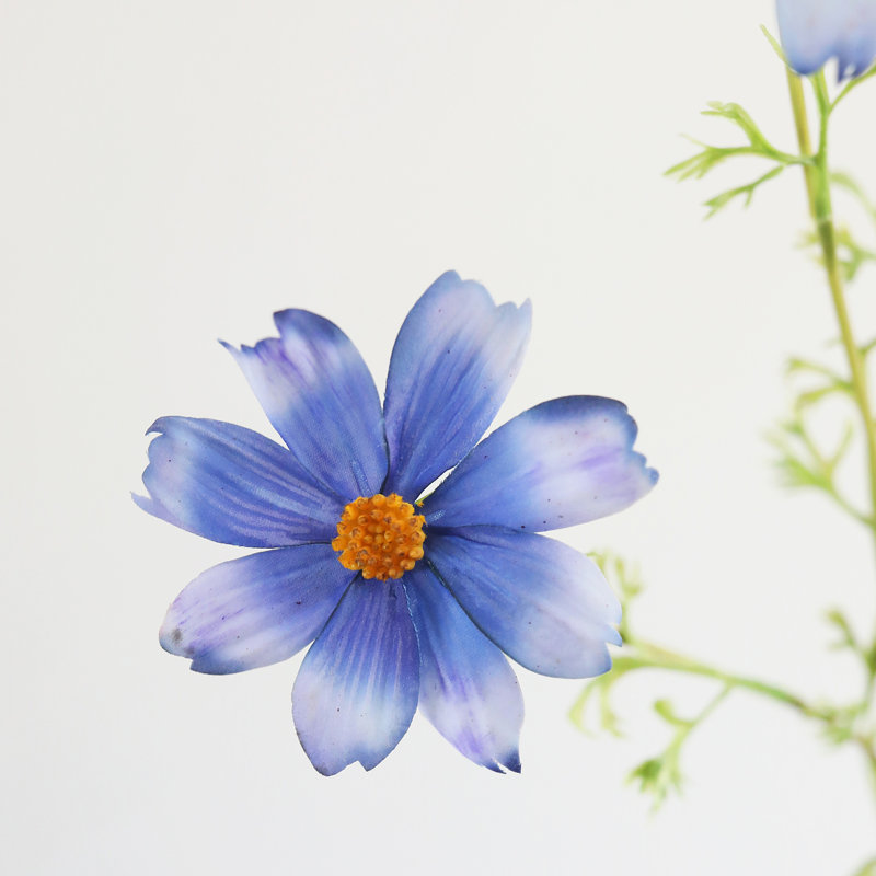 Real Touch Cosmos Faux Floral, Blue