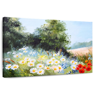 Alvord Daisy Meadow