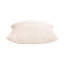 QUARTZ CLAM