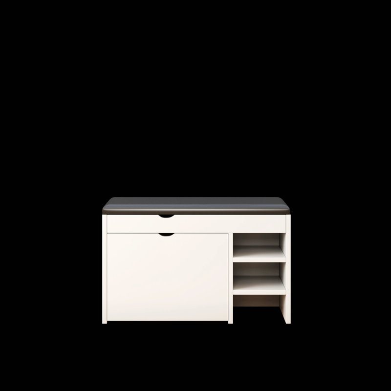 Banc, tabouret à chaussures avec coussin confortable, banc d'entrée, Gris foncé / Blanc